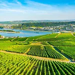 Labed - Exklusives Wohnen Im Weingut, Zentral Und Stilvoll アパート リューデスハイム・アム・ライン
