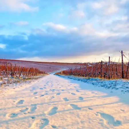 Labed - Exklusives Wohnen Im Weingut, Zentral Und Stilvoll Apartment Ruedesheim am Rhein