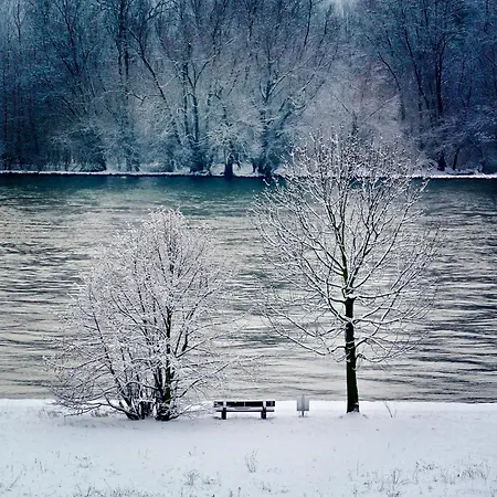 Apartment Labed - Exklusives Wohnen Im Weingut, Zentral Und Stilvoll