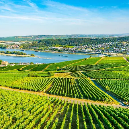 Weingut | Exklusiv | Modern | Zentrale Lage | 2Sz Lägenhet Rüdesheim am Rhein