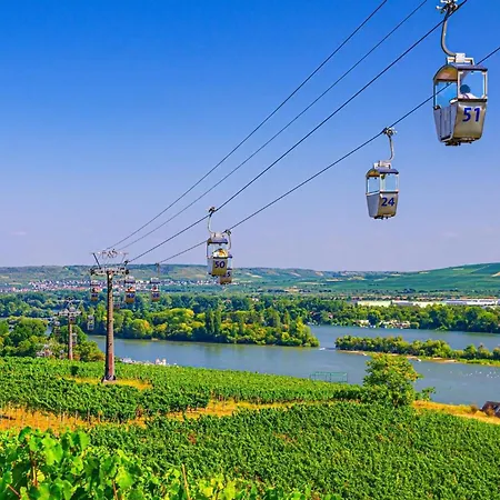 Weingut | Exklusiv | Modern | Zentrale Lage | 2Sz Lägenhet *