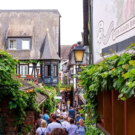 Labed - Exklusives Wohnen Im Weingut, Zentral Und Stilvoll Rüdesheim am Rhein