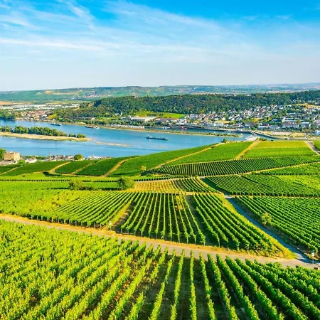 Weingut | Exklusiv | Modern | Zentrale Lage | 2sz Apartment Ruedesheim am Rhein