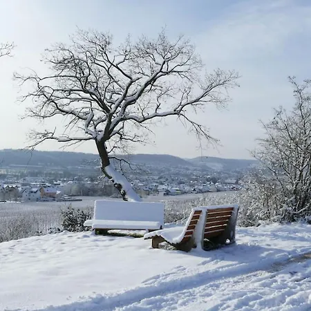 Weingut | Exklusiv | Modern | Zentrale Lage | 2sz * Ruedesheim am Rhein