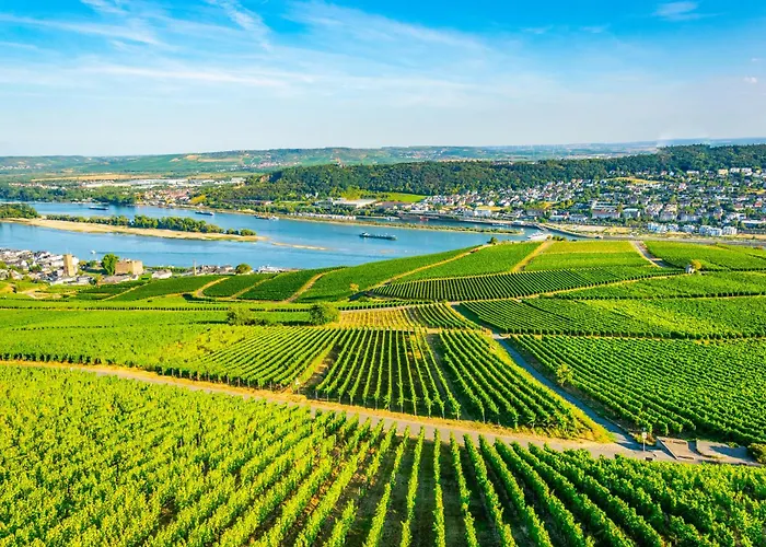 Labed - Exklusives Wohnen Im Weingut, Zentral Und Stilvoll Appartement Rüdesheim am Rhein